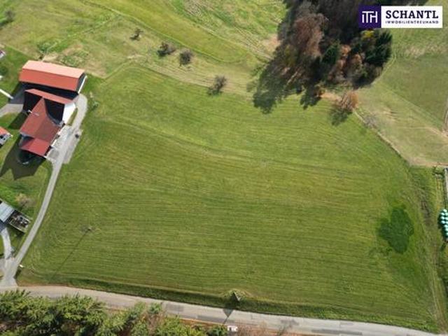 Grundstück kaufen in Lannach, Steiermark