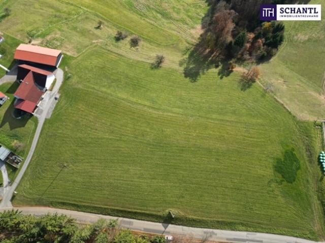 Grundstück kaufen in Steiermark
