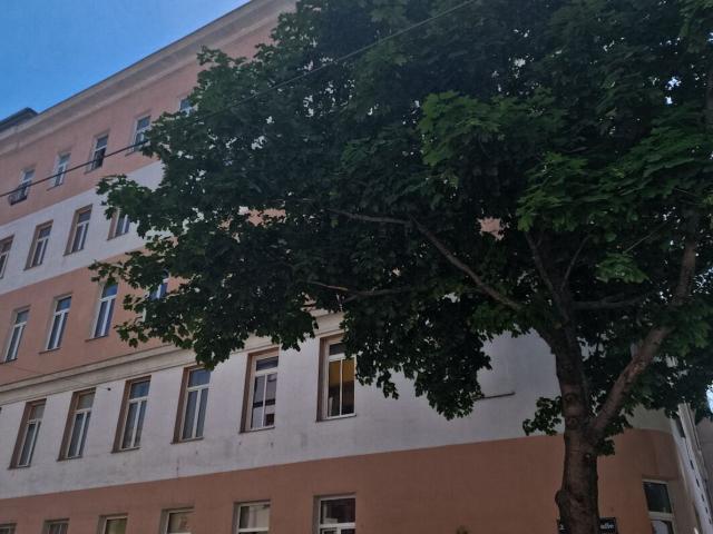 Wohnung kaufen in Seestadt, Wien