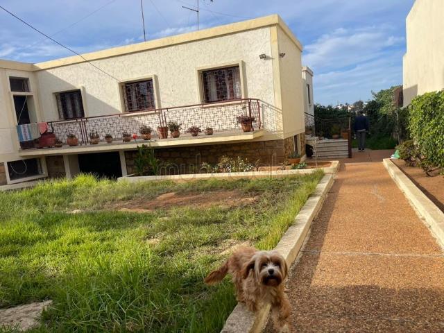 Villa vente à Salé