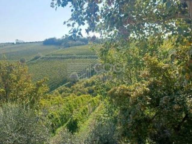 Terreno in vendita a Unione della Romagna Faentina, Brisighella