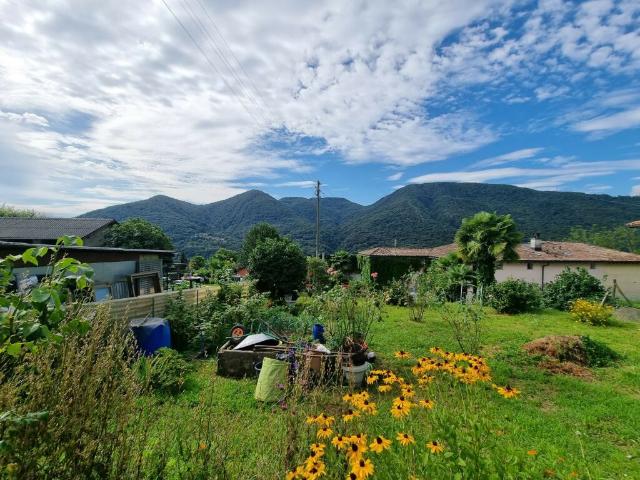 Immobilie kaufen in Biogno-Beride, Tessin