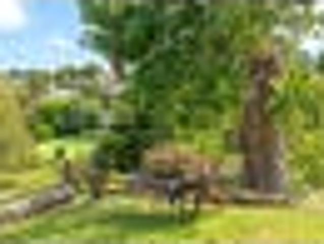 House for sale in Thames, Waikato