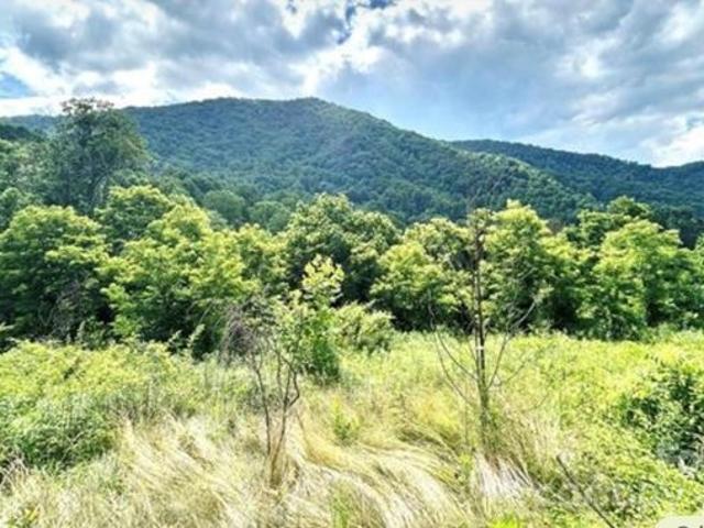 Land for sale in Haywood, North Carolina