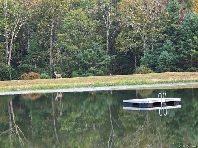 Land for sale in New York