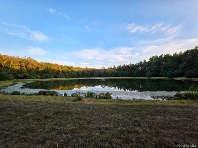 Land for sale in New York