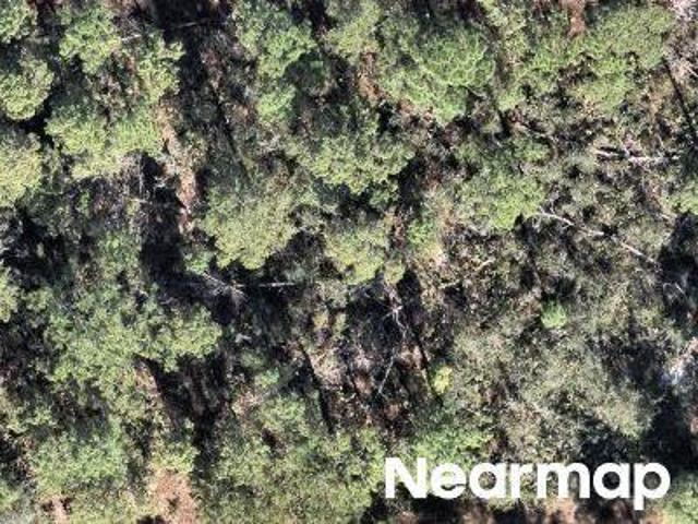 Land for sale in Lake Placid, Florida
