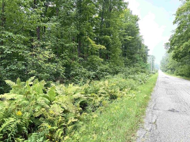 Land for sale in Fence, Wisconsin
