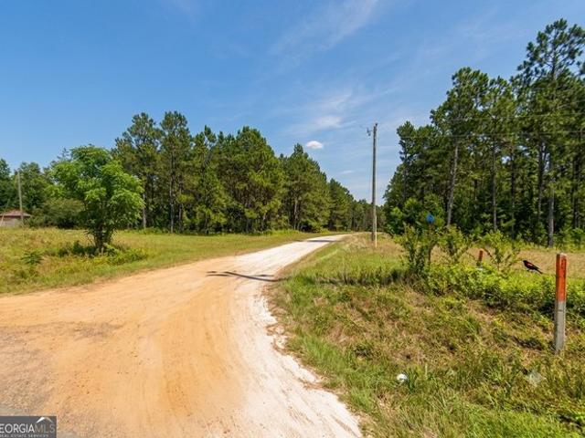 Land for sale in Dodge, Georgia