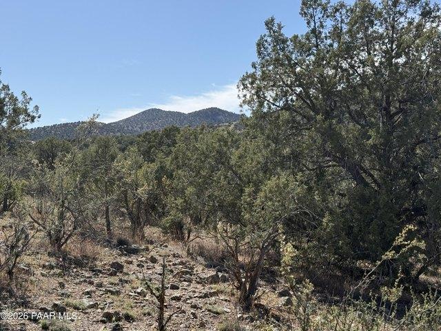 Land for sale in Chino Valley, Arizona