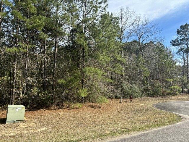 Land for sale in Moncks Corner Land for sale in Moncks Corner