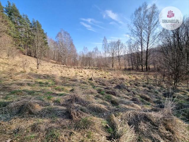 Grunt na sprzedaż w Olsztyn, Warmińsko-mazurskie