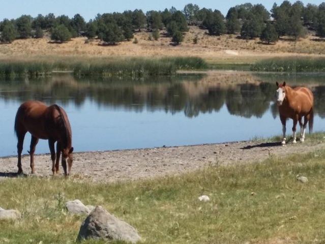 Land for sale in Oregonia