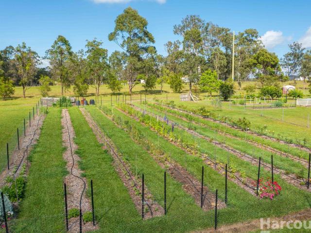 Cottage for sale in Kundabung, New South Wales