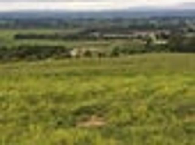 Land for sale in Winton, Southland