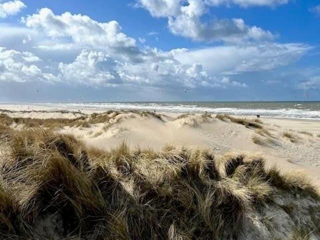 Appartement te huur in Bomenbuurt, Den Haag