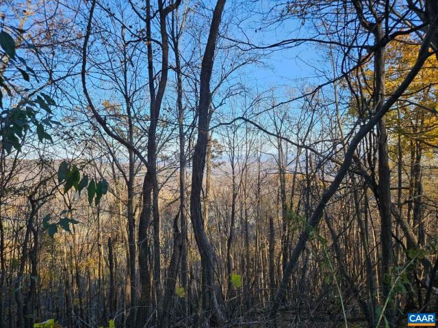 Land for sale in Virginia