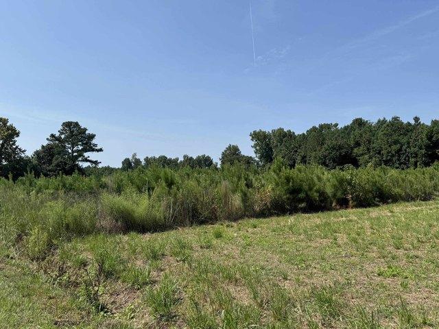 Land for sale in Nichols, South Carolina