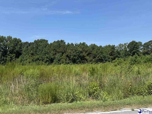 Land for sale in Nichols, South Carolina