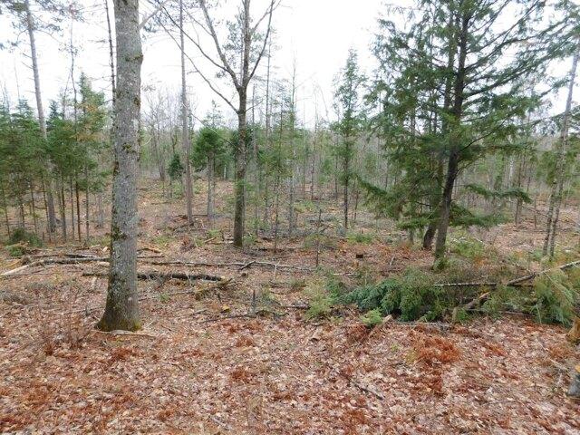 Land for sale in Greenbush, Maine
