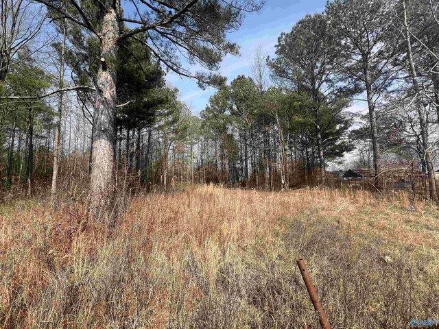 Land for sale in Centre, Alabama