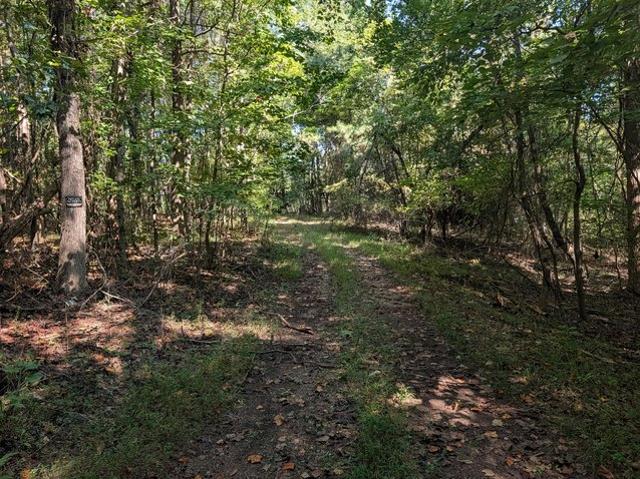 Land for sale in Tennessee