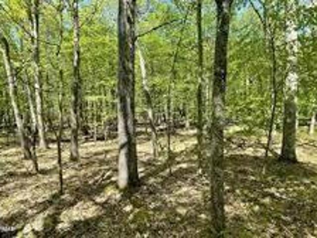 Land for sale in Dingmans Ferry, Pennsylvania