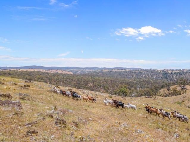 Acreage for sale in Ophir, New South Wales