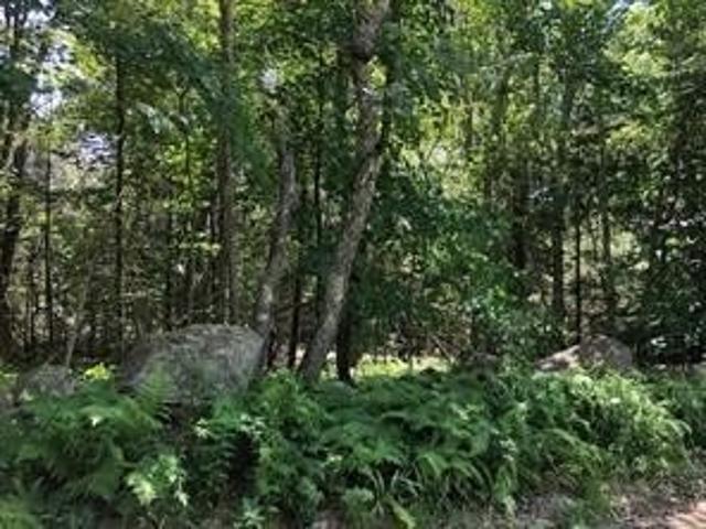 Land for sale in Chepachet, Glocester