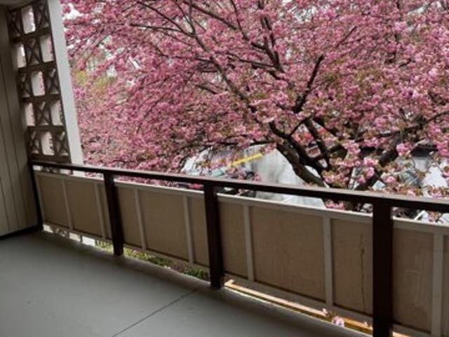 Condo for sale in Bethesda