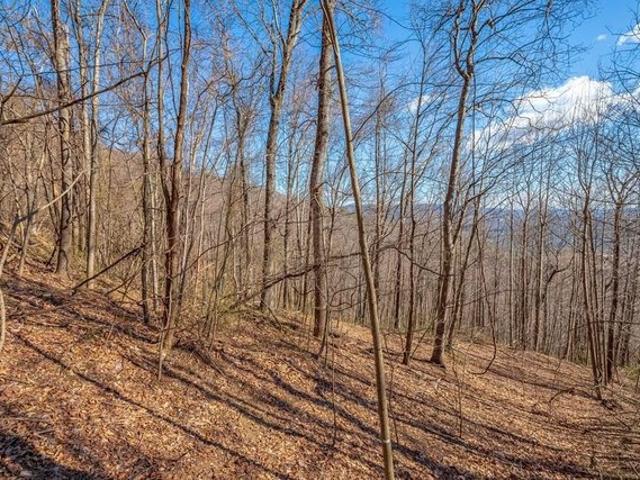 Land for sale in Virginia