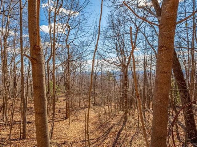 Land for sale in Virginia