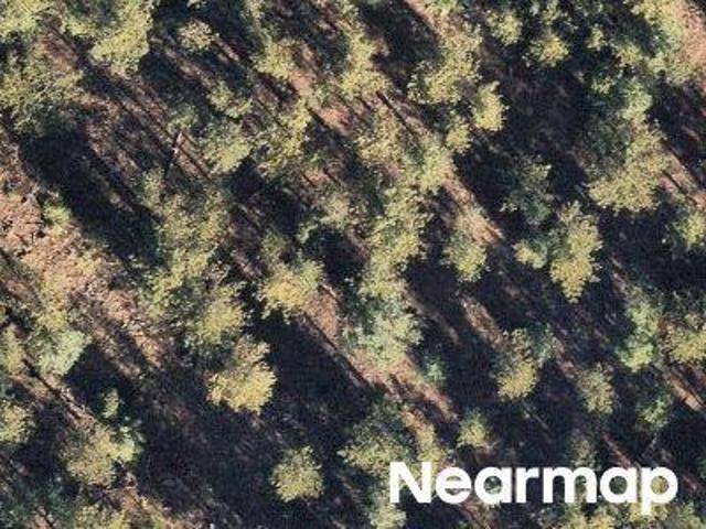 Property for sale in Bailey, Park County