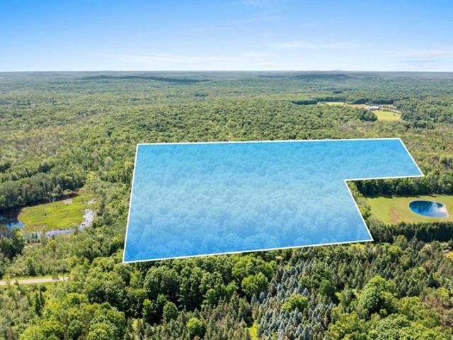 Land for sale in Tigerton, Wisconsin