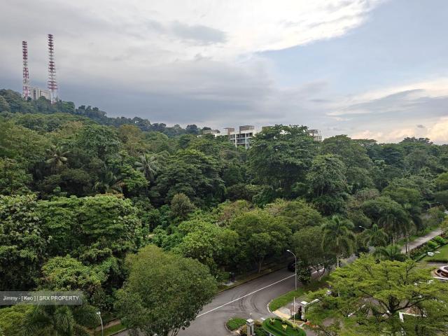 Condominium for rent in Upper Bukit Timah