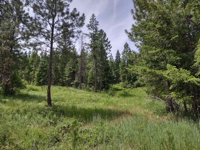 Land for sale in Ford, Washington