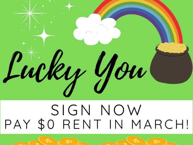 Apartment for rent in Box Springs, Georgia