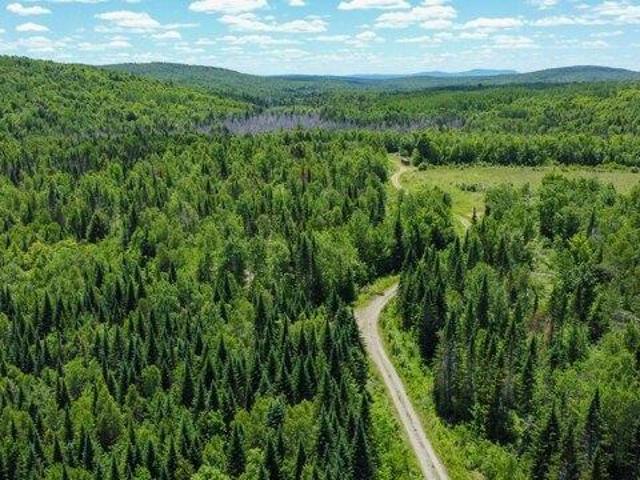 Land for sale in Springfield, Maine