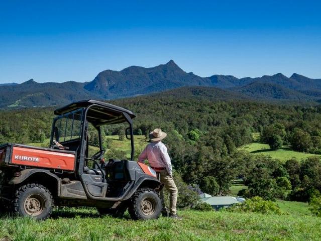 Cottage for sale in Doon Doon, New South Wales