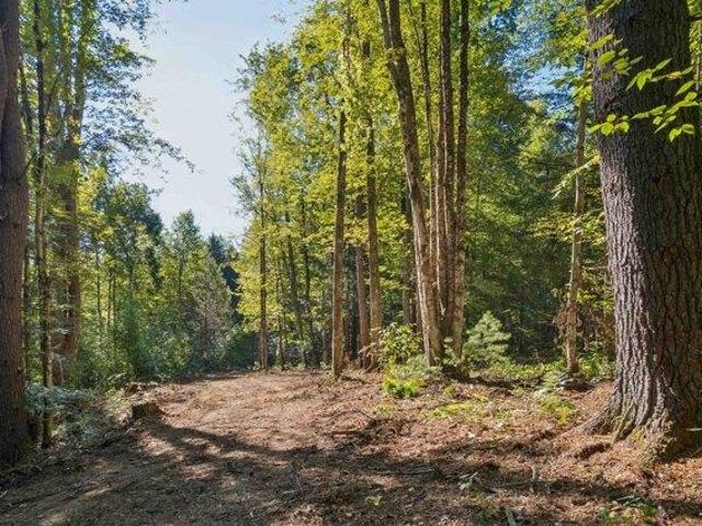 Land for sale in Springfield, Vermont