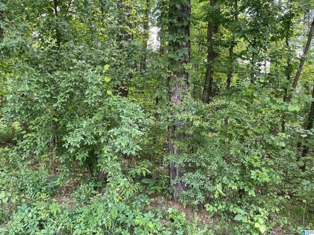 Land for sale in Alexander City