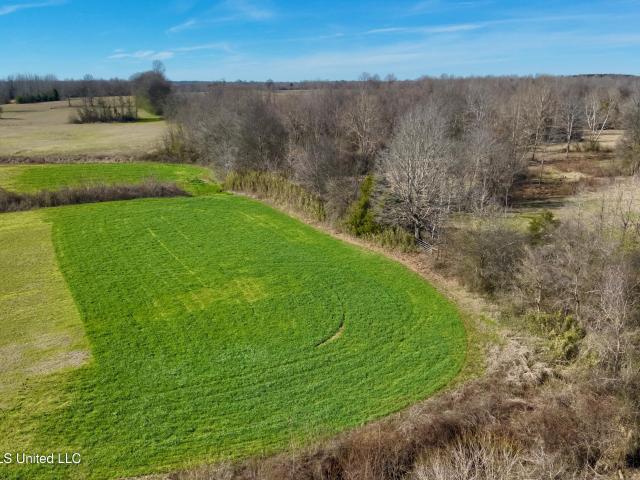 Land for sale in Lexington, Mississippi