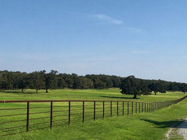 Land for sale in Valley View, Texas