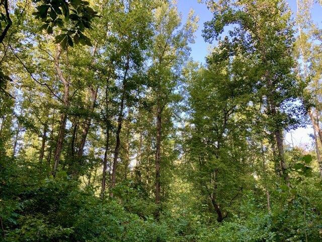 Land for sale in Tennessee