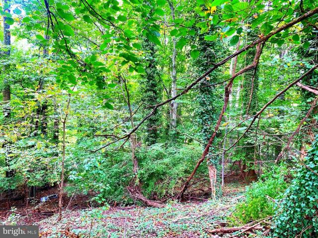 Land for sale in Camp Springs, Maryland