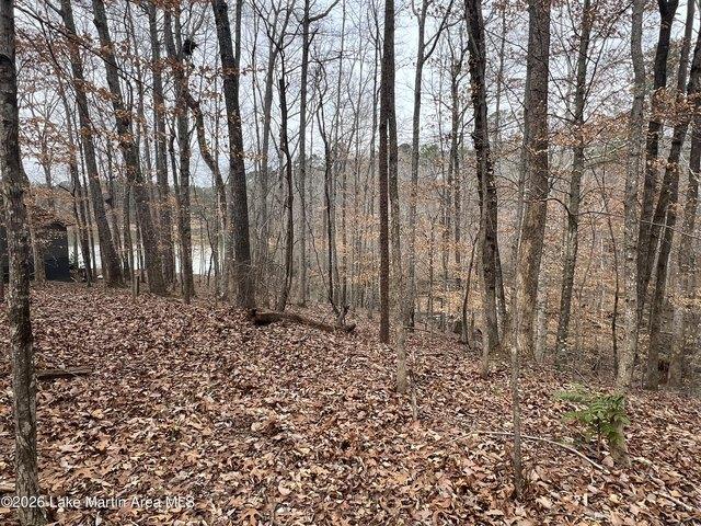 Land for sale in Tallapoosa, Alabama