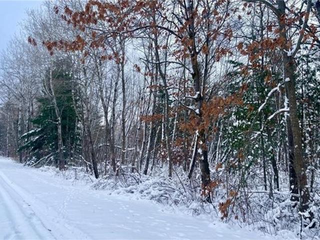 Land for sale in Garrison, Minnesota