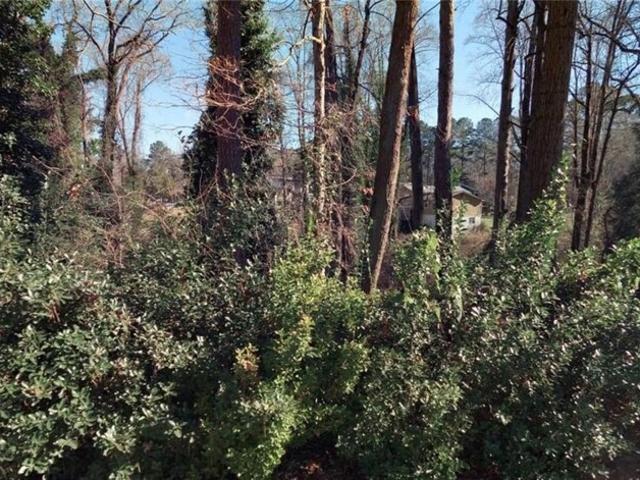 Land for sale in Pine Lake, Georgia