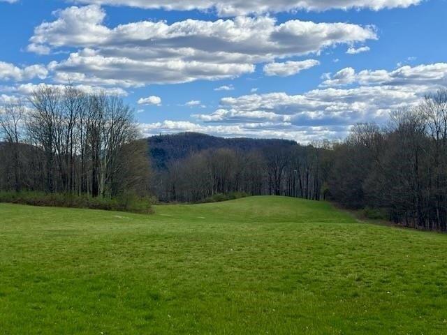 Land for sale in Middletown Springs, Vermont