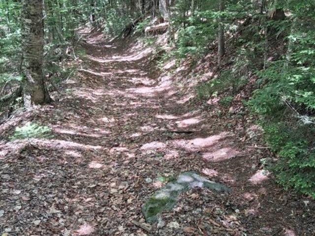 Land for sale in Eden, Vermont